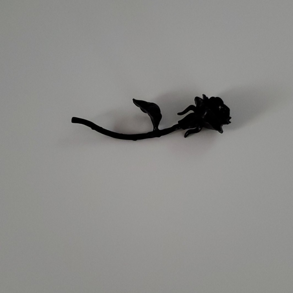 Monster High Black Rose Rochelle Goyle